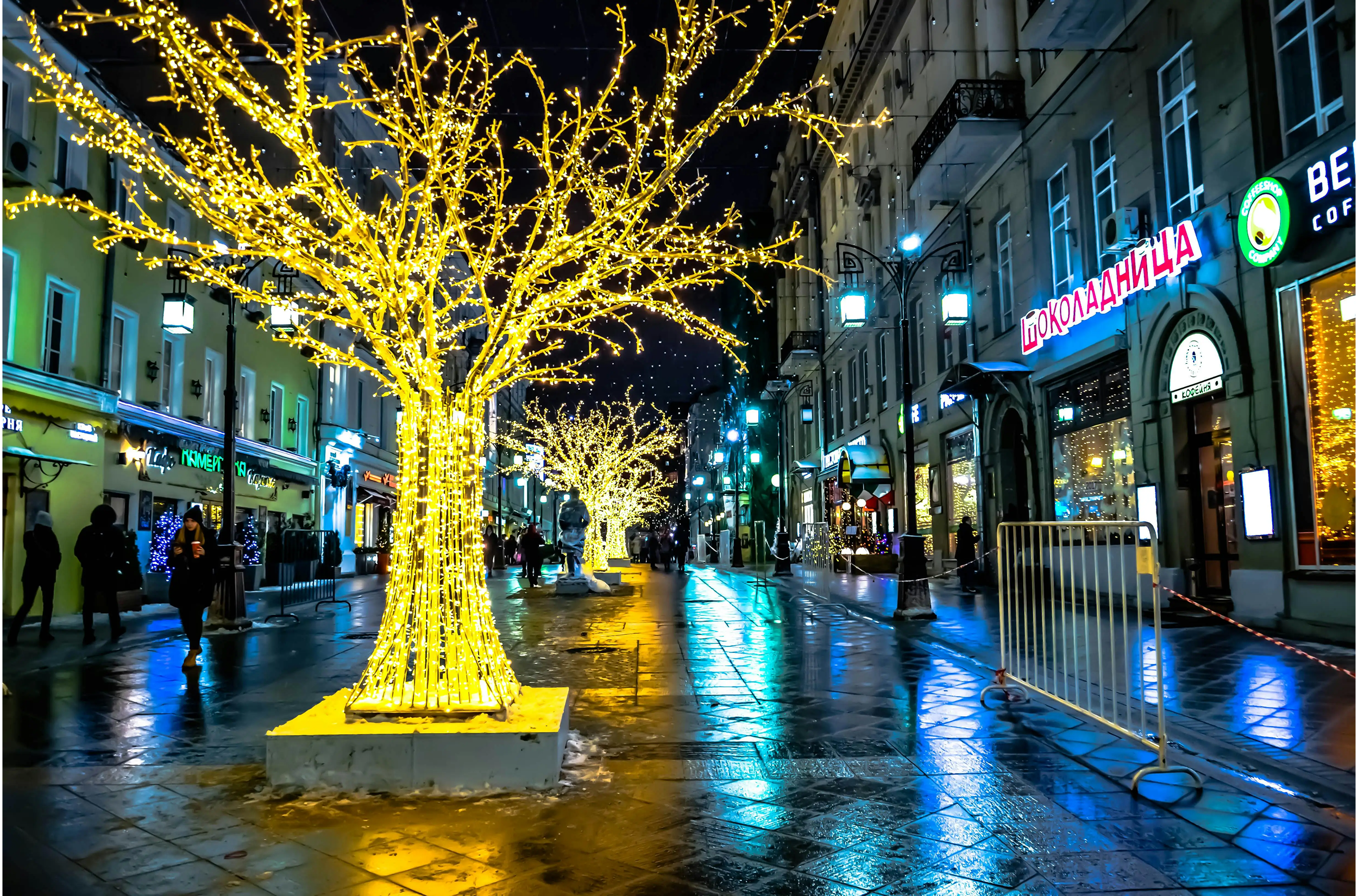tree-light 1 (1)